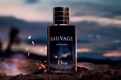 dior sauvage schweiz|dior sauvage best price.